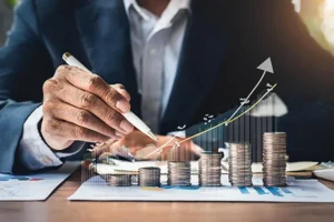 Profesyonel Bütçe Yönetimi ve Finansal Kontrol Eğitimi