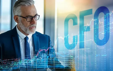 Chief Financial Officer (CFO) Eğitimi